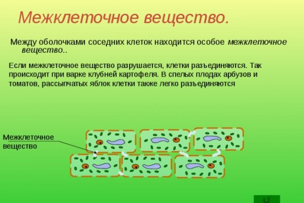 Кракен гидра даркнет